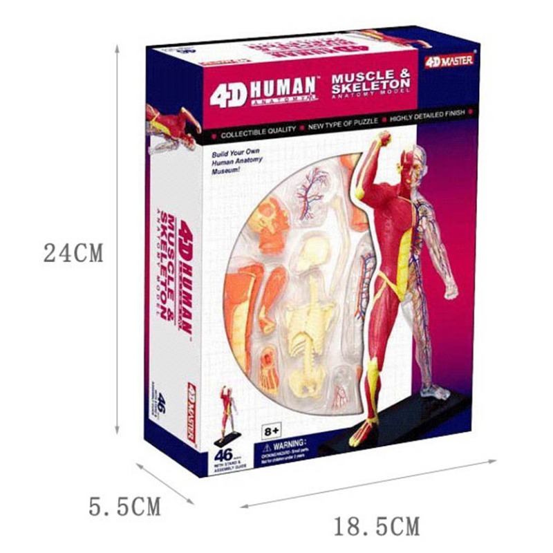 4d Master Human Muscle Skeleto - Medical Lab Assistant 评论和价格