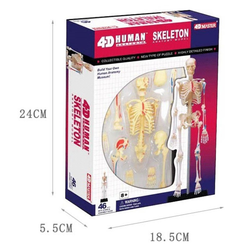4d Human Full Skeleton Anatomy - Medical Lab Assistant 评论和价格
