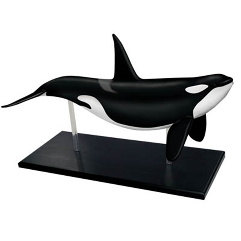 4D Vision Orca Whale Skeleton  - Medical Lab Assistant 评论和价格
